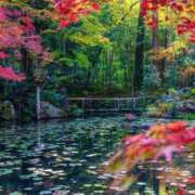 ヒメ日記 2025/11/28 05:50 投稿 神田 京香【人妻】 ROYAL STAR