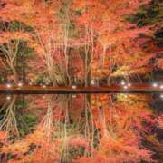 ヒメ日記 2025/11/28 16:49 投稿 神田 京香【人妻】 ROYAL STAR