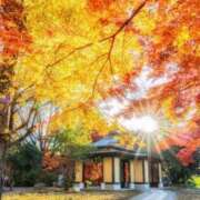 ヒメ日記 2025/11/30 07:58 投稿 神田 京香【人妻】 ROYAL STAR