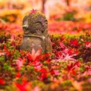 ヒメ日記 2025/11/30 11:53 投稿 神田 京香【人妻】 ROYAL STAR