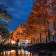 ヒメ日記 2025/11/30 17:12 投稿 神田 京香【人妻】 ROYAL STAR