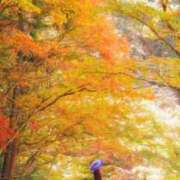 ヒメ日記 2025/12/03 12:52 投稿 神田 京香【人妻】 ROYAL STAR