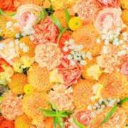 ヒメ日記 2025/12/04 22:05 投稿 神田 京香【人妻】 ROYAL STAR