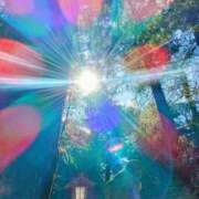 ヒメ日記 2025/12/05 05:25 投稿 神田 京香【人妻】 ROYAL STAR