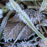 ヒメ日記 2025/12/06 07:39 投稿 神田 京香【人妻】 ROYAL STAR