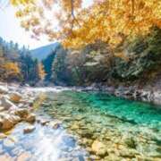 ヒメ日記 2025/12/07 11:01 投稿 神田 京香【人妻】 ROYAL STAR