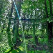 ヒメ日記 2025/12/10 06:25 投稿 神田 京香【人妻】 ROYAL STAR