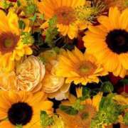 ヒメ日記 2025/12/11 00:05 投稿 神田 京香【人妻】 ROYAL STAR