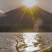 ヒメ日記 2025/12/11 06:17 投稿 神田 京香【人妻】 ROYAL STAR