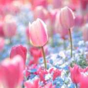 ヒメ日記 2025/12/14 09:51 投稿 神田 京香【人妻】 ROYAL STAR