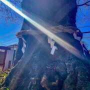 ヒメ日記 2025/12/15 07:07 投稿 神田 京香【人妻】 ROYAL STAR