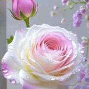 ヒメ日記 2025/12/16 06:44 投稿 神田 京香【人妻】 ROYAL STAR