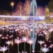 ヒメ日記 2025/12/18 00:21 投稿 神田 京香【人妻】 ROYAL STAR