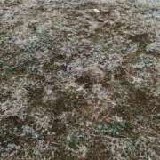 ヒメ日記 2026/01/02 07:59 投稿 神田 京香【人妻】 ROYAL STAR