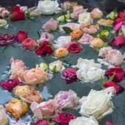 ヒメ日記 2026/01/12 23:15 投稿 神田 京香【人妻】 ROYAL STAR