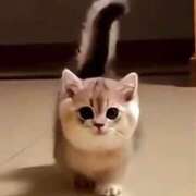 ヒメ日記 2026/01/16 12:02 投稿 神田 京香【人妻】 ROYAL STAR