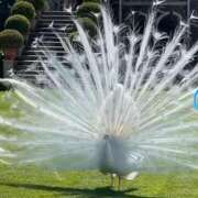 ヒメ日記 2026/01/19 14:36 投稿 神田 京香【人妻】 ROYAL STAR