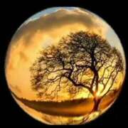 ヒメ日記 2026/01/20 23:42 投稿 神田 京香【人妻】 ROYAL STAR