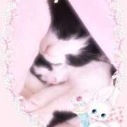 ヒメ日記 2026/02/22 11:36 投稿 かれん 丸妻 厚木店