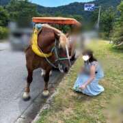 ヒメ日記 2025/07/30 23:24 投稿 るな 桃李（とうり）