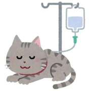 ヒメ日記 2025/10/31 05:36 投稿 るな 桃李（とうり）