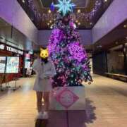 ヒメ日記 2025/11/14 19:34 投稿 るな 桃李（とうり）