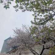ヒメ日記 2026/04/06 17:25 投稿 もなか WOWOW UENO HEALTH STATION