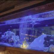 いよ おはようございます 完熟ばなな 横浜