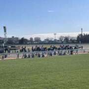 ヒメ日記 2024/12/14 13:43 投稿 かぐら ベイビーモコ