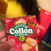 ヒメ日記 2025/04/06 02:57 投稿 かぐら ベイビーモコ