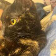 ヒメ日記 2025/04/12 19:58 投稿 かぐら ベイビーモコ