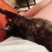 ヒメ日記 2025/04/14 22:48 投稿 かぐら ベイビーモコ