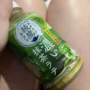 ヒメ日記 2025/04/17 21:31 投稿 かぐら ベイビーモコ