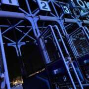 ヒメ日記 2025/04/19 15:15 投稿 かぐら ベイビーモコ