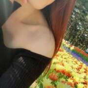 ヒメ日記 2025/04/21 17:19 投稿 かぐら ベイビーモコ