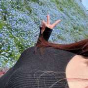 ヒメ日記 2025/04/26 14:09 投稿 かぐら ベイビーモコ