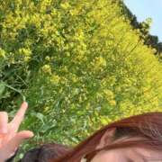 ヒメ日記 2025/04/27 11:31 投稿 かぐら ベイビーモコ