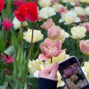 ヒメ日記 2025/05/04 18:49 投稿 かぐら ベイビーモコ