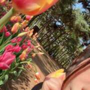 ヒメ日記 2025/05/05 19:00 投稿 かぐら ベイビーモコ