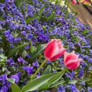 ヒメ日記 2025/05/11 15:01 投稿 かぐら ベイビーモコ