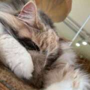 ヒメ日記 2025/05/14 17:57 投稿 かぐら ベイビーモコ