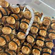 ヒメ日記 2025/05/14 22:10 投稿 かぐら ベイビーモコ