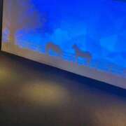 ヒメ日記 2025/05/20 14:18 投稿 かぐら ベイビーモコ