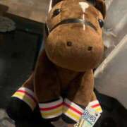 ヒメ日記 2025/05/25 16:41 投稿 かぐら ベイビーモコ