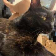 ヒメ日記 2025/05/28 22:23 投稿 かぐら ベイビーモコ