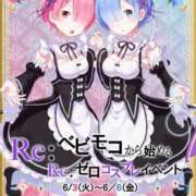 ヒメ日記 2025/05/29 21:56 投稿 かぐら ベイビーモコ