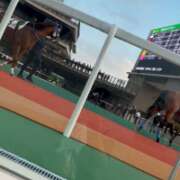 ヒメ日記 2025/06/04 23:20 投稿 かぐら ベイビーモコ