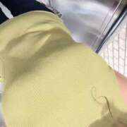 ヒメ日記 2025/06/09 13:47 投稿 かぐら ベイビーモコ