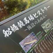 ヒメ日記 2025/06/21 22:38 投稿 かぐら ベイビーモコ