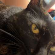 ヒメ日記 2025/06/22 22:00 投稿 かぐら ベイビーモコ